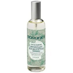 Reinigender Eukalyptus Raumspray 100ml