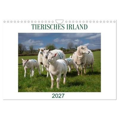 Irland erleben – Wo Schafe, Pferde und Kühe das Landschaftsbild prägen (Wandkalender 2027 DIN A4 quer), CALVENDO Monatskalender