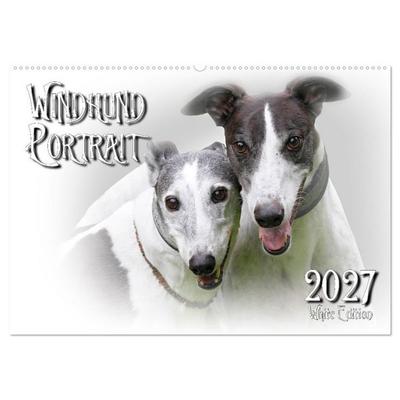 Windhund Portrait 2027 White Edition (Wandkalender 2027 DIN A2 quer), CALVENDO Monatskalender