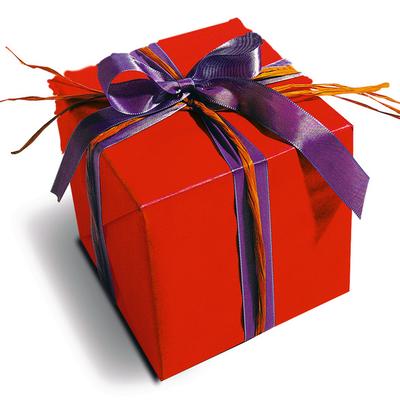 Weihnachts-Überraschungs-Paket