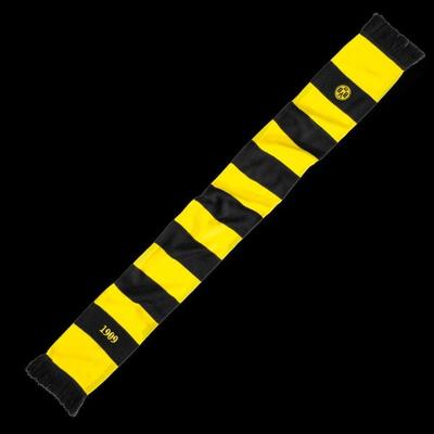 BVB Schal mit Blockstreifen