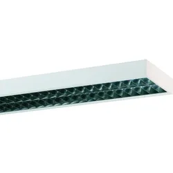Ridi-Leuchten Anbauleuchte f. RIDI-Tube ABRB-R2X115/30DA-SM