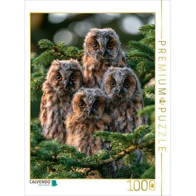 CALVENDO Puzzle Der Ruf des Frühlings | 1000 Teile Lege-Größe 64x48cm Foto-Puzzle für glückliche Stunden