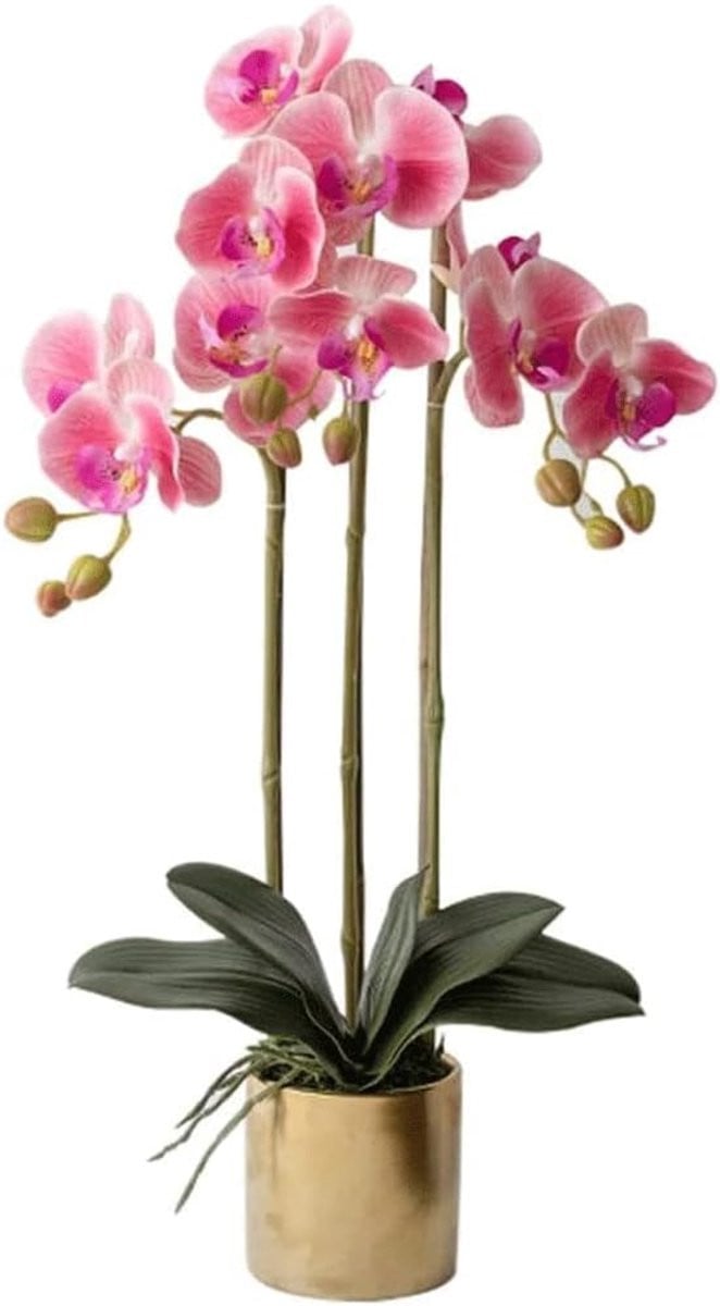 Kunstbloemen Orchidee Phalaenopsis - Woonkamer Decoratie - 60 cm - A