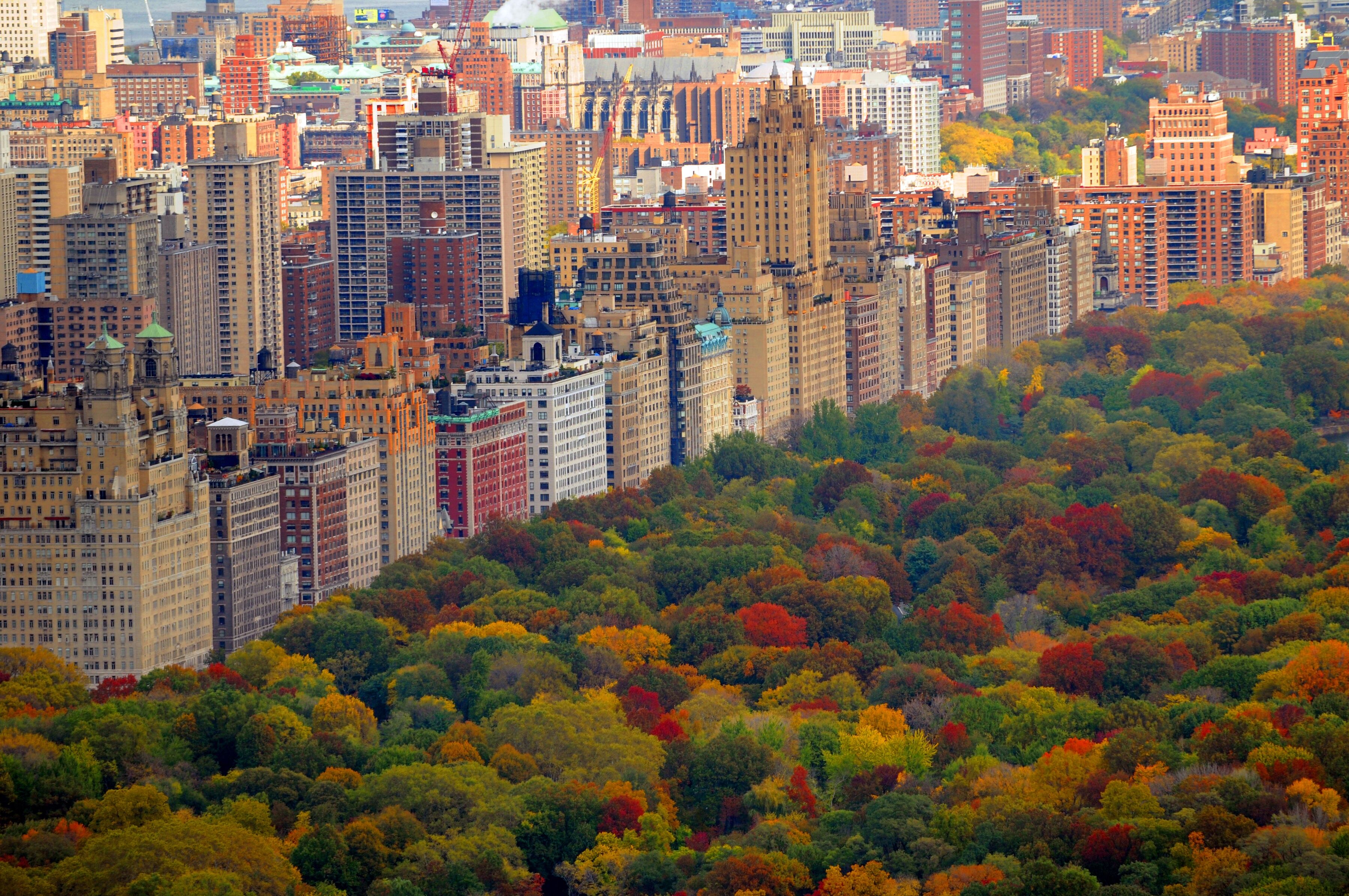Fototapete PAPERMOON "Central Park", bunt, B:2,5m L:1,86m, Vlies, Tapeten, Fototapete bunt B/L: 2,5m x 1,86m, Bahnen: 5 Stk.