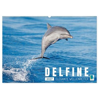 Delfine: Elegante Wellenreiter (Wandkalender 2027 DIN A2 quer), CALVENDO Monatskalender