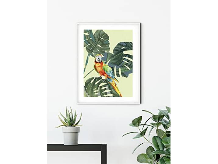 Komar Wandbild - Green-Winged Macaw - Größe: 50 x 70 cm - Poster, Kunstdruck, Dekoration, Wohnzimmer, Schlafzimmer (ohne Rahmen)