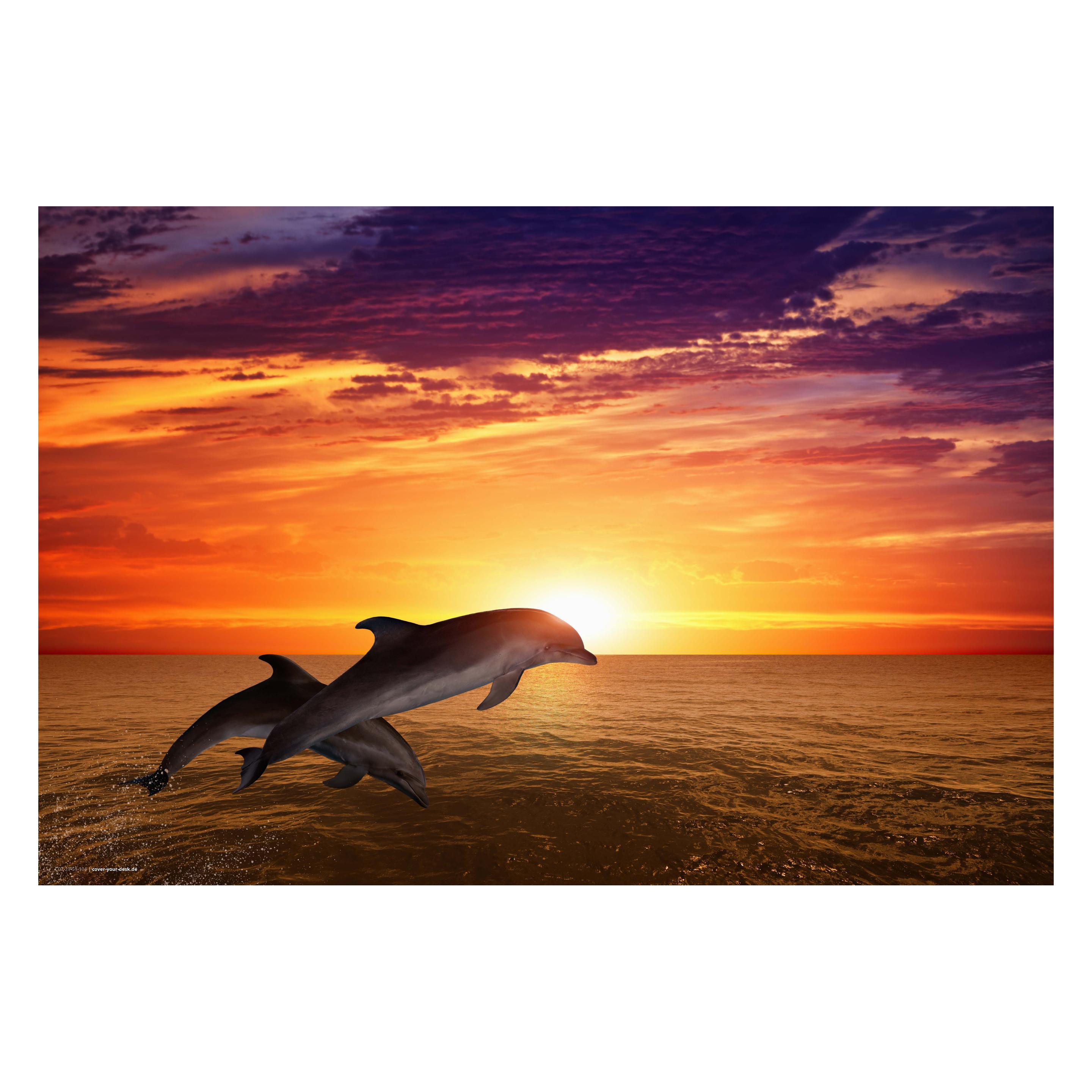 CoverYourDesk Schreibtischunterlage Delfine im Sonnenuntergang (21557457)
