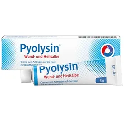 Pyolysin Wund- und Heilsalbe 6 g