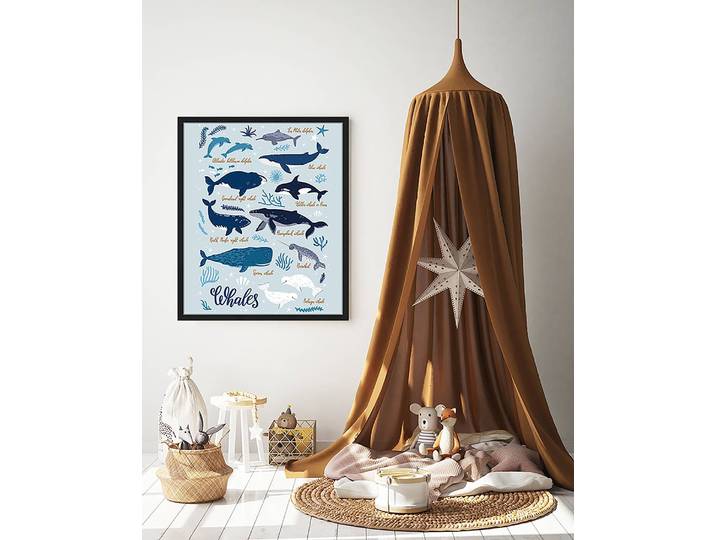 Bild All Kind Of Whales 53 x 63cm Multicolor