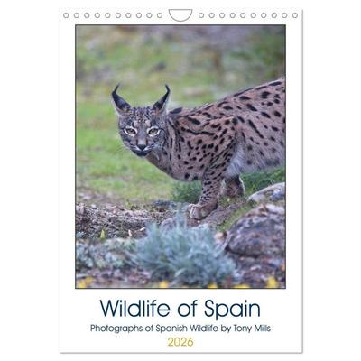 Wildlife of Spain (Wall Calendar 2026 DIN A4 portrait), CALVENDO 12 Month Wall Calendar