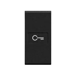 Legrand L4916F Axial-Wippe Schlüssel 1-Modulig Anthrazit