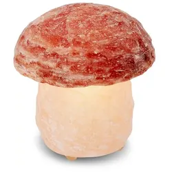 Beleuchteter Salzkristall PILZ