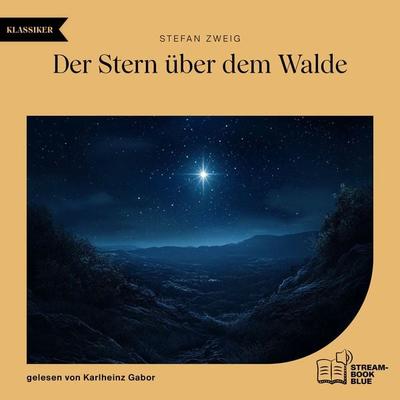 Der Stern über dem Walde - Stefan Zweig, Audio, 9783711901132