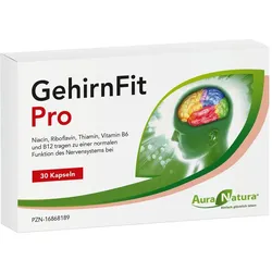 Gehirnfit Pro
