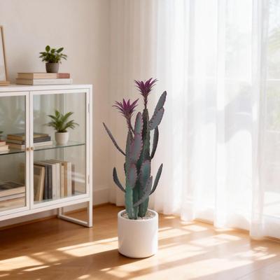 Garvee Flocked Two Head Peacock Cactus Purple Flower in White Pot 3.15 Ft
