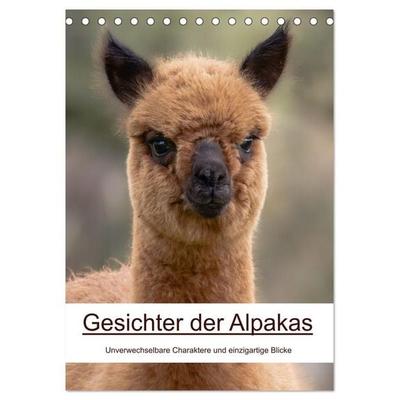 Gesichter der Alpakas - Unverwechselbare Charaktere und einzigartige Blicke (Tischkalender 2027 DIN A5 hoch), CALVENDO Monatskalender