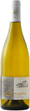 Chinon Blanc 2025 - Domaine Jean-Maurice Raffault - Chinon - Weisswein - 0.75L Loire