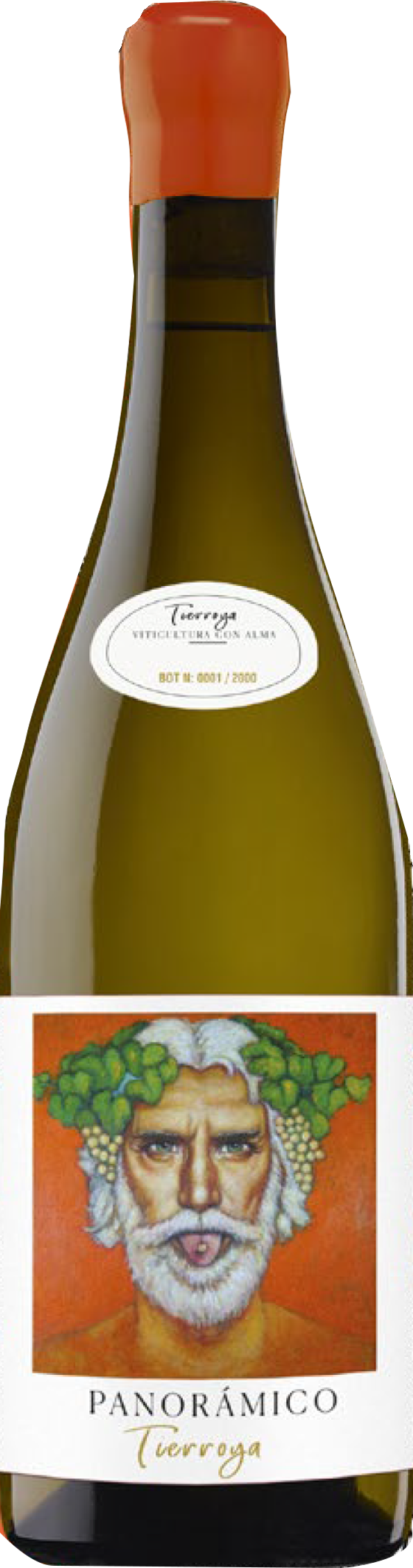 Panoramico Rioja Blanco 'Tierroya' 2019
