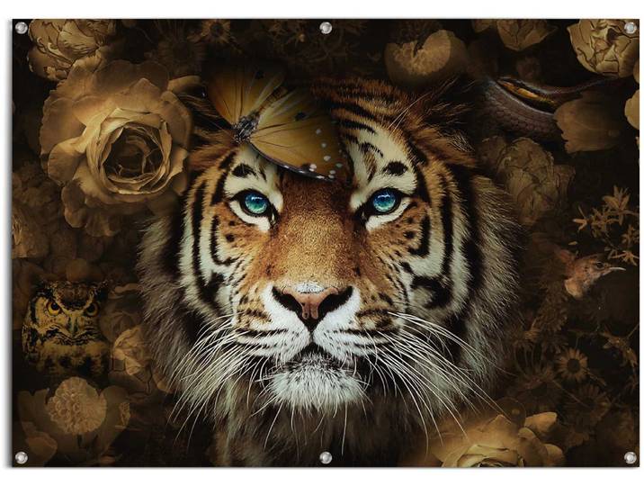Poster REINDERS Tiger , braun (farbe bild(er): braun), B:140cm H:100cm T:0,1cm, Leinwand, Bilder, Poster, leichtes und wasserfestes Gartenposter für den Ausseneinsatz