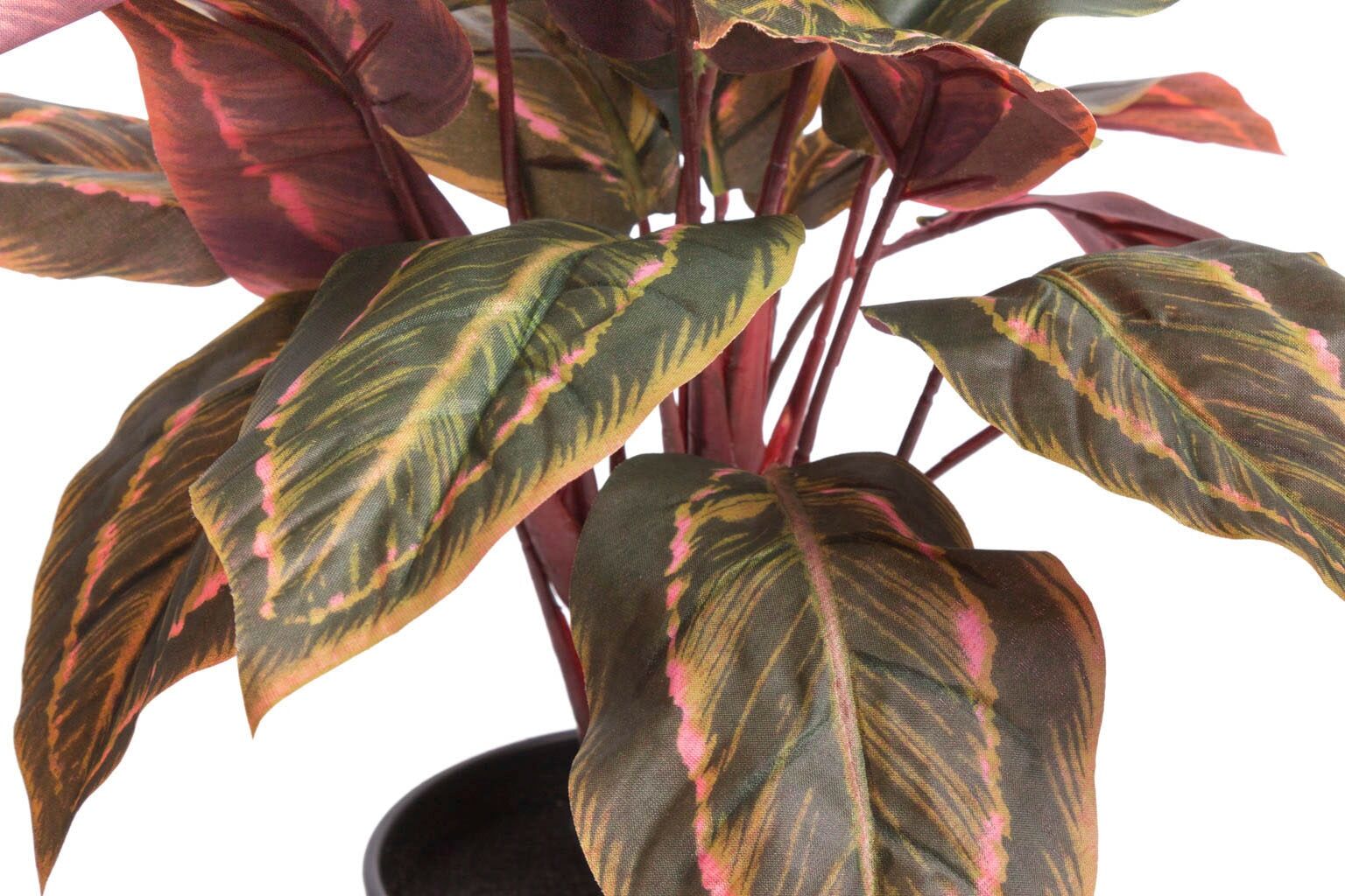 Künstliche Zimmerpflanze BOTANIC-HAUS "Calathea", grün, B:38cm H:43cm T:38cm Ø:38cm, Kunststoff, Kunstpflanzen, Künstliche Zimmerpflanze