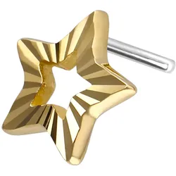 14 Karat Gold Aufsatz mit Titan Push Pin STERN