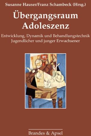 Susanne Hauser - Übergangsraum Adoleszenz: Entwicklung, Dynamik und Behandlungstechnik Jugendlicher und junger Erwachsener - Preis vom 30.09.2026 09:01:18 h
