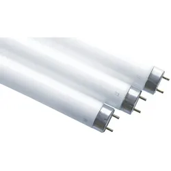 Scharnberger+Hasenbein Leuchtstofflampe T8 68180
