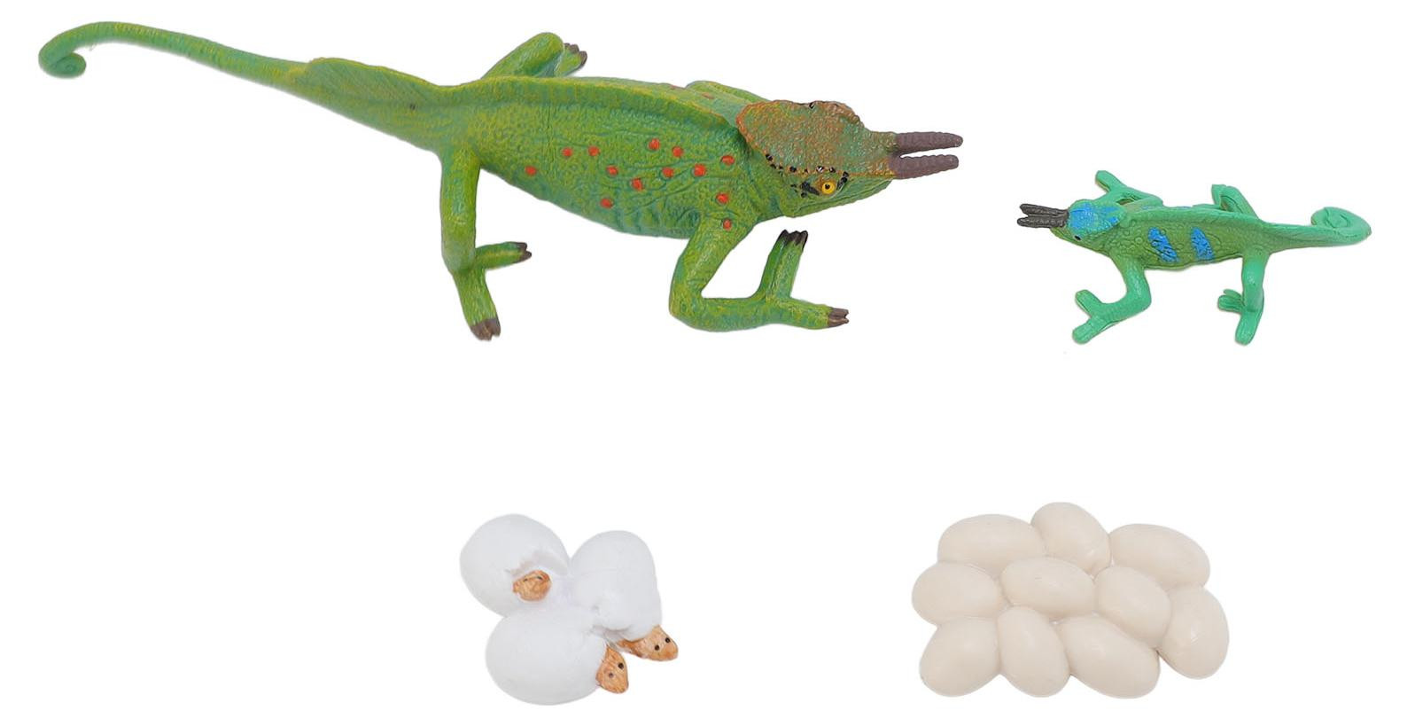 Gistuch Set van 4 Dierenmodellen Speelgoedornament voor Cognitieve Ontwikkeling en Educatie
