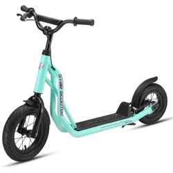 Star Scooter, Scooter