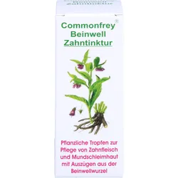 Commonfrey Beinwell Zahntinktur 30 ML
