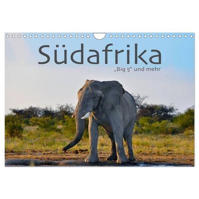 Südafrika - Big 5 und mehr (Wandkalender 2026 DIN A4 quer), CALVENDO Monatskalender