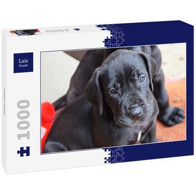 Lais Puzzle Dogge Welpe 1000 Teile