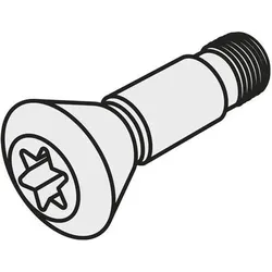 Pramet, Zubehör Maschine, Wendeschneidplatten-Schraube ISO CS 48025-T40P Bruttogewicht 9,1g