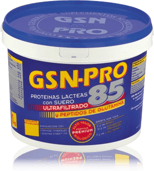 GSN Proteine Pro 85 1 kg