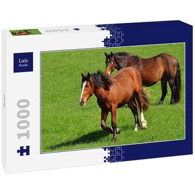 Lais Puzzle Pferde 1000 Teile