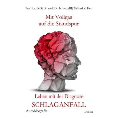 Mit Vollgas auf die Standspur - Leben mit der Diagnose Schlaganfall - Autobiografie, Taschenbuch von Nicole Börsch,Andreas med. sin. Kalg,,Ina