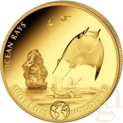 1 Unze Goldmünze Kongo World ́s Wildlife - Rochen 2023