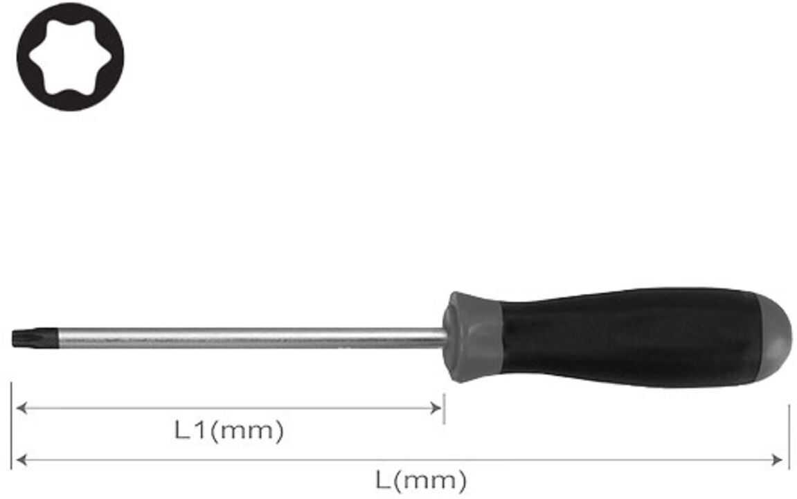 Hans Cacciavite TORX 0340T20X100