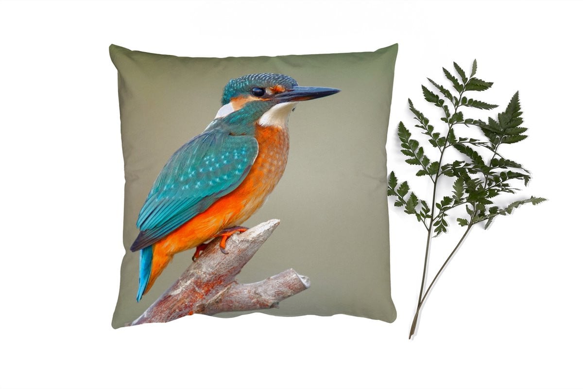 PillowMonkey Sierkussen met IJsvogel en Tak - 45 x 45 cm