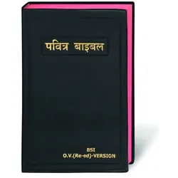 Bibel Hindi, Fachbücher
