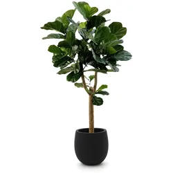 Designplants/Luca Lifestyle Lyrata Y Kunstbaum (h:170 cm) mit Grigio Balloon Blumentopf