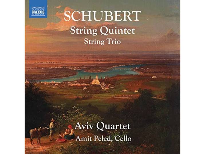 String Quintet - String Trio