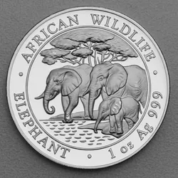 Silbermünze 1oz "Elefant" 2013 African Wildlife diff. (Somalia)