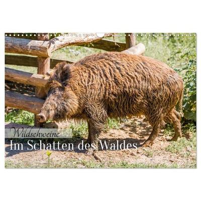 Wildschweine - Im Schatten des Waldes (Wandkalender 2027 DIN A3 quer), CALVENDO Monatskalender