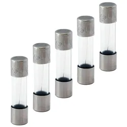 SIEDLE Glassicherung T 1A 250V AC 5x20mm T 1,0 A