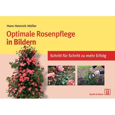 Optimale Rosenpflege in Bildern, Taschenbuch von Hans Heinrich Möller, Quelle & Meyer