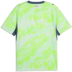 Puma, Herren, Fussballtrikot, SFV Away Jersey Replica (XL), Grün, Türkis, Blau, Mehrfarbig