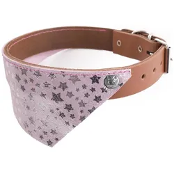 Martin Sellier Miami T25 (Hund, Hundesport, Spazieren), Halsband + Leine