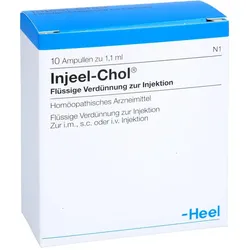 Injeel-Chol